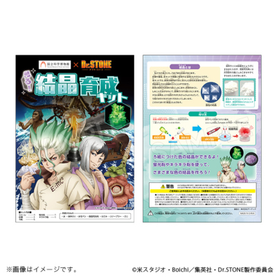 Dr Stone 結晶育成キット 国立科学博物館 Dr Stone Ver ｄｒ ｓｔｏｎｅ ドクターストーン トムスショップ