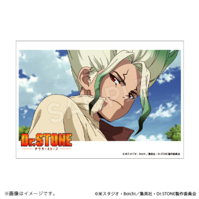 Dr.STONE ブロマイドセット NEW WORLD ver. Ｄｒ．ＳＴＯＮＥ（ドクターストーン） トムスショップ