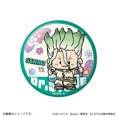 Dr.STONE 缶バッジコレクション 宝島ver.(全7種) Ｄｒ．ＳＴＯＮＥ（ドクターストーン） トムスショップ