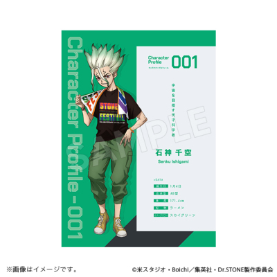 Dr.STONE パンフレット 石の宴ver. Dr．STONE（ドクター