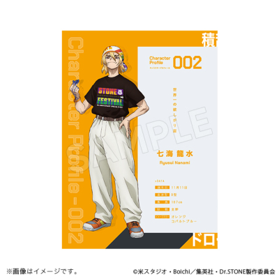 Dr.STONE パンフレット 石の宴ver. Dr．STONE（ドクター