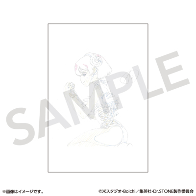 Dr.STONE ポストカードコレクション 原画展ver.A(全11種/単品