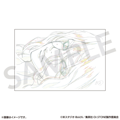Dr.STONE 原画展 図録 Dr.STONE】＜Dr.STONE_原画展ver.＞ トムスショップオリジナル商品