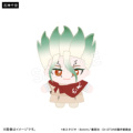 Dr.STONE@ʂ݁@Journey of Growth ver.(4)