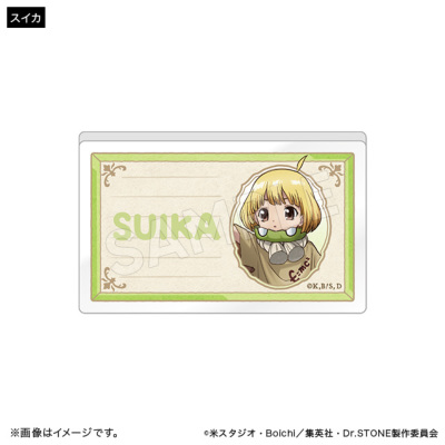 Dr.STONE アクリルネームバッジコレクション Journey of Growth ver