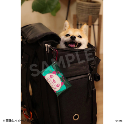 パンダコパンダ マルチクリアケース(2種) パンダコパンダ トムスショップ