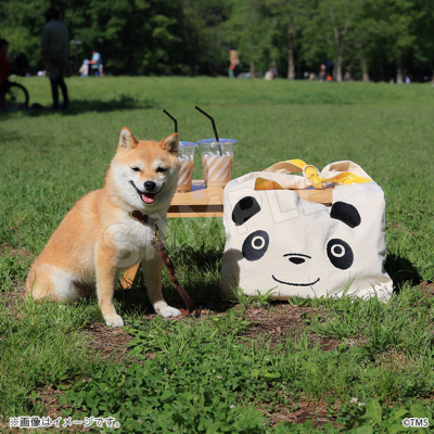 パンダコパンダ パンちゃん三角トート パンダコパンダ トムス