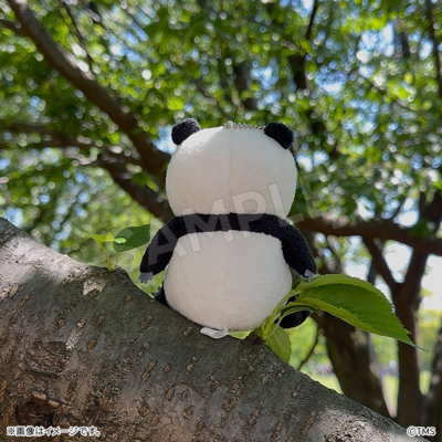 ワンピース　ドスコイパンダMぬいぐるみ　バンダイネットワークス#週刊少年ジャンプ WAKUKU ワクク WA-3580 パンダ【数量限定】 : COX-ONLINE SHOP ヤフー