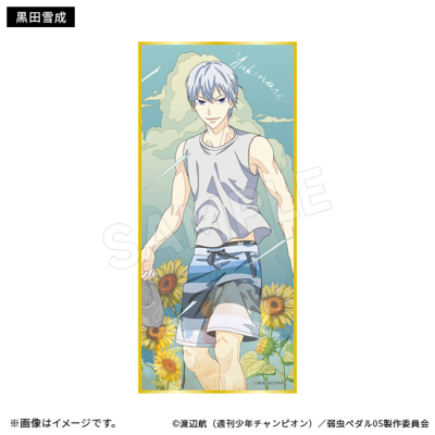 弱虫ペダル LIMIT BREAK ブラインド短冊色紙 サマーデイズ(全12