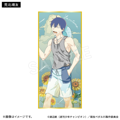 弱虫ペダル LIMIT BREAK ブラインド短冊色紙 サマーデイズ(全12