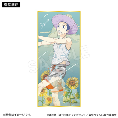 【希少】超大型 タペストリー ペプシ イチロー imgrc0082397915.jpg
